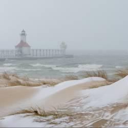 Save the Dunes