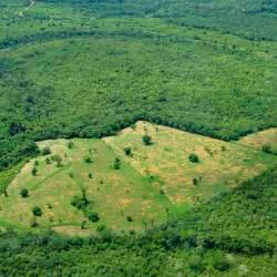 Soil Erosion