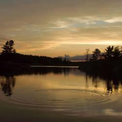 Lake Huron Centre For Coastal Conservation