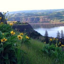 Columbia Riverkeeper